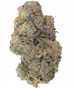 Mango Mintality, yakıtımsı ve tropikal aromaları ile öne çıkan Indica dominant bir türdür. Yüksek THC içeriğiyle dikkat çeken bu türün genetik yapısını keşfedin.