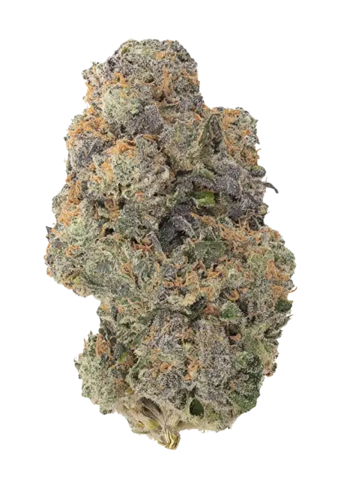 Mango Mintality, yakıtımsı ve tropikal aromaları ile öne çıkan Indica dominant bir türdür. Yüksek THC içeriğiyle dikkat çeken bu türün genetik yapısını keşfedin.