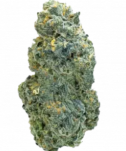 Mango Tango, şeftali ve narenciye aromalarıyla öne çıkan indica dominant bir türdür. THC ile güçlü etkisini keşfedin ve genetik yapısını görüntüleyin.