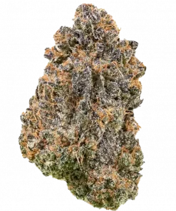 Mangolini Froyo, tropikal mango aroması ve yüksek THC içeriğiyle öne çıkan Indica ağırlıklı bir türdür. Dengeli etkilerini ve genetik yapısını keşfedin.