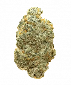 Maple Drip, tatlı ve odunsu aromalarıyla öne çıkan dengeli bir hibrit türdür. THC içeriğiyle mutluluk ve rahatlama sağlar. Genetik yapısını keşfedin.