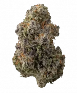 Maple Nectar, tatlı tropikal aroması ve rahatlatıcı etkisiyle öne çıkan Indica baskın bir türdür. Uykusuzluk ve ağrı için ideal. Özelliklerini keşfedin.