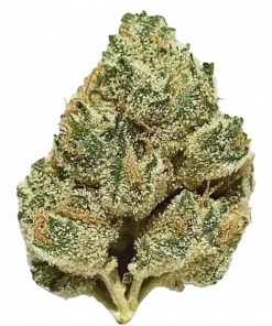 Marathon OG, yakıtımsı ve ekşi limon aromalarıyla öne çıkan indica dominant bir türdür. Yüksek THC içeriğiyle rahatlatıcı etkilerini keşfedin ve genetik yapısını görüntüleyin.