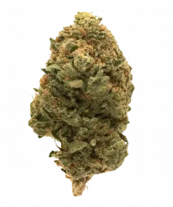 Marakeş, şeftali aromalı ve THC içeren dengeli bir hibrit türdür. Canlandırıcı etkileriyle öne çıkar. Bu eşsiz türü keşfedin.