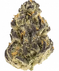 Marsha Marsha, belirgin mentol aroması ve THC oranıyla öne çıkan bir Indica türüdür. Derin rahatlama ve öfori için genetik yapısını keşfedin.