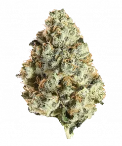 Marshmallow OG, vanilya ve tereyağı aromalarıyla öne çıkan güçlü bir hibrit türdür. Rahatlatıcı etkileriyle bilinen bu türü keşfedin ve genetik yapısını görüntüleyin.