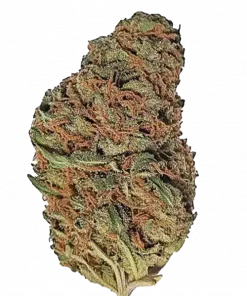 Maui Wowie, tatlı tropikal aromaları ve enerjik etkileriyle bilinen sativa türüdür. Yüksek THC içeriğiyle öne çıkar. Bu eşsiz türü keşfedin.