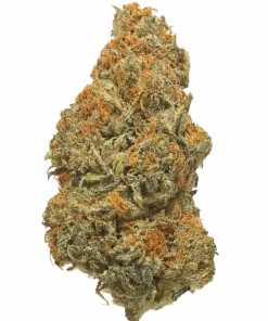 Mazar, keskin aroması, limon-baharat notaları ve rahatlatıcı etkisiyle öne çıkan indica dominant bir türdür. Bu eşsiz türün tüm özelliklerini keşfedin.