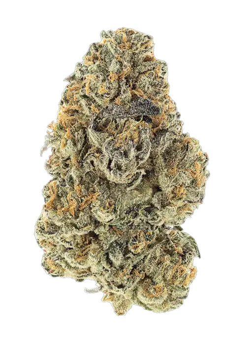 Mean Streakz, yakıtımsı ve tatlı aromalarıyla öne çıkan güçlü bir Indica hibritidir. Rahatlatıcı etkileri ve genetik yapısını keşfedin.