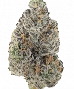 Mega Mind, tatlı aroması ve güçlü Indica etkileriyle bilinen eşsiz bir türdür. Uykusuzluk ve stresi hafifletmeye yardımcıdır. Bu özel türü keşfedin.