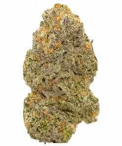 Melem, tatlı meyve ve toprak aromalarıyla öne çıkan dengeli bir hibrit türdür. Rahatlatıcı ve yaratıcı etkilerini keşfedin. Hemen görüntüleyin.