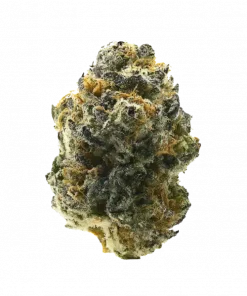 Mellowz, tatlı meyve aromaları ve yüksek THC içeriğiyle bilinen Indica baskın bir türdür. Dengeli etkileriyle öne çıkar. Bu eşsiz türü keşfedin.