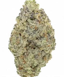 Melo Rado, kavun aroması ve enerji verici etkileriyle öne çıkan dengeli bir hibrit türdür. Mutluluk ve rahatlama sunan bu özel türü keşfedin.