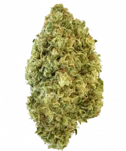 Melon Tini, tatlı kavun aroması ve dengeli etkileriyle öne çıkan bir hibrit türdür. -30 THC içeriğiyle dikkat çeker. Genetik yapısını keşfedin ve özelliklerini görüntüleyin.