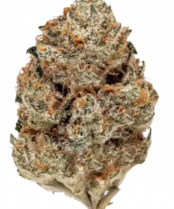 Melonade, ferahlatıcı limon aroması ve yüksek THC içeriğiyle bilinen sativa baskın bir türdür. Enerji verici etkileriyle öne çıkar. Özelliklerini keşfedin.