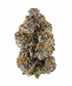 Melonatta, tatlı kavun aroması ve yüksek THC içeriğiyle bilinen Sativa baskın bir türdür. Enerjik etkileriyle öne çıkar. Bu eşsiz türü keşfedin.