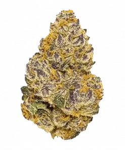 Member Berry, tatlı meyve aromaları ve yüksek THC içeriğiyle bilinen Indica baskın bir türdür. Mutluluk ve rahatlama sunan bu özel türü keşfedin.