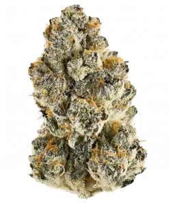 Member Berry RBX1, narenciye aromaları ve yüksek THC içeriğiyle öne çıkan indica baskın bir türdür. Skunk Berry genetiğiyle eşsiz deneyimini keşfedin.