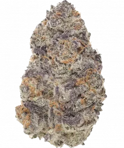 Member OG? F1, yaban meyvesi aromaları ve rahatlatıcı etkileriyle öne çıkan bir hibrit türdür. Stres ve ağrı için ideal. Genetik yapısını keşfedin.