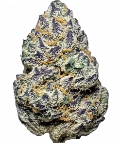 The Menage, baskın narenciye aroması ve THC oranıyla öne çıkan bir Indica türüdür. Depresyon ve ağrı için ideal genetik yapısını keşfedin.