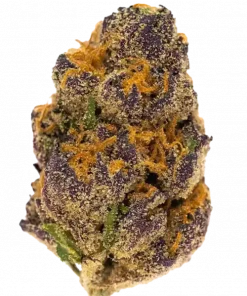 Mendocino Purps, tatlı üzüm aromaları ve 'ye varan THC içeriğiyle öne çıkan Sativa baskın bir türdür. Mutluluk ve yaratıcılık etkilerini keşfedin.