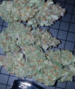 Mexican Airlines Auto Fem Esrar Tohumu (Fast Buds)