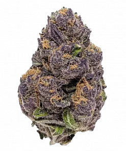 Mexican Rush, limon aromaları ve yüksek enerjisiyle bilinen bir Sativa türüdür. Yaratıcılığı artıran bu özel türü keşfedin ve gününüzü canlandırın.