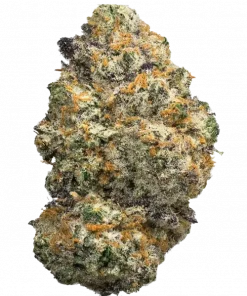 Meyer Lemons, tatlı limon aroması ve yüksek enerjisiyle öne çıkan indica baskın bir türdür. Canlandırıcı etkilerini ve genetik yapısını keşfedin.