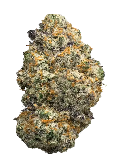 Meyer Lemons, tatlı limon aroması ve yüksek enerjisiyle öne çıkan indica baskın bir türdür. Canlandırıcı etkilerini ve genetik yapısını keşfedin.