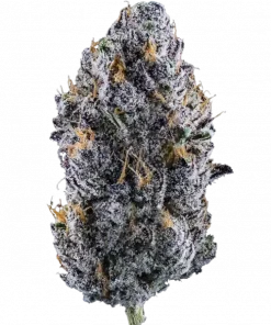 Miami Yayo, limon ve vanilya aromalarıyla öne çıkan Indica baskın bir türdür. Depresyon ve stresi azaltmaya yardımcı olabilir. Etkilerini keşfedin.