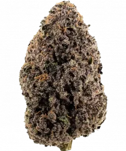 Midnight Runtz, yüksek THC ve tatlı meyve aromasıyla öne çıkan Indica dominant bir türdür. Geceleri rahatlamak için ideal. Özelliklerini keşfedin.