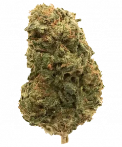 Milk and Cookies, kremsi aroması ve dengeli etkileriyle öne çıkan Indica ağırlıklı bir türdür. Yüksek verimi ve rahatlatıcı yapısıyla keşfedin.