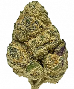 Milk Bone, yakıtımsı aroması ve rahatlatıcı etkisiyle bilinen dengeli bir hibrit türüdür. Girl Scout Cookies genetiğiyle öne çıkar. Özelliklerini keşfedin.