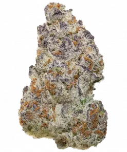 Milky Beltz, yakıtımsı ve tatlı aromalarıyla öne çıkan güçlü bir türdür. 'e varan THC içeriğiyle dikkat çeker. Bu özel türü keşfedin.