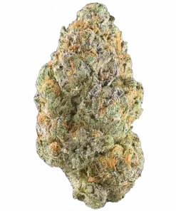 Milky Way F1, çikolata aroması ve rahatlatıcı etkisiyle öne çıkan bir hibrit türüdür. Hızlı çiçeklenme özelliğiyle dikkat çeker. Özelliklerini keşfedin.