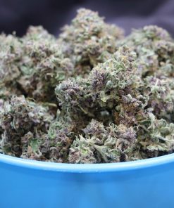 Mimosa Cake Auto Fem Esrar Tohumu (Fast Buds)