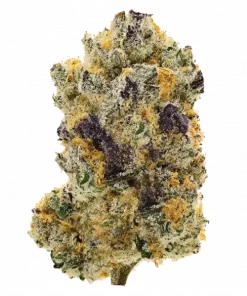 Mimosa EVO, yüksek THC ve tropikal aromalarıyla bilinen Indica dominant bir türdür. Depresyon ve ağrı için potansiyel faydalarını keşfedin. Hemen görüntüleyin.