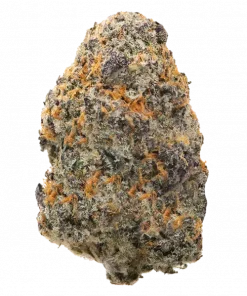 Mind Fuck, tatlı meyve ve vanilya aromalı, + THC içeren dengeli bir hibrit türüdür. Yüksek verim potansiyeliyle öne çıkar. Etkilerini keşfedin.