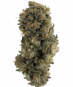 Mint Cake, tatlı nane aroması ve THC oranıyla öne çıkan Indica dominant bir türdür. Canlandırıcı etkilerini ve genetik yapısını keşfedin.