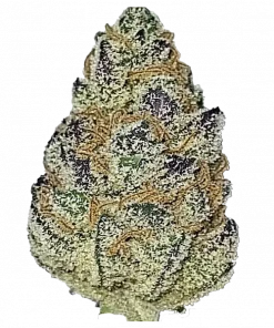 Miracle Fruit, turunçgil aromaları ve canlandırıcı etkisiyle bilinen Sativa baskın bir türdür. Mimosa ve Super Lemon Haze genetiğini keşfedin ve detayları görüntüleyin.