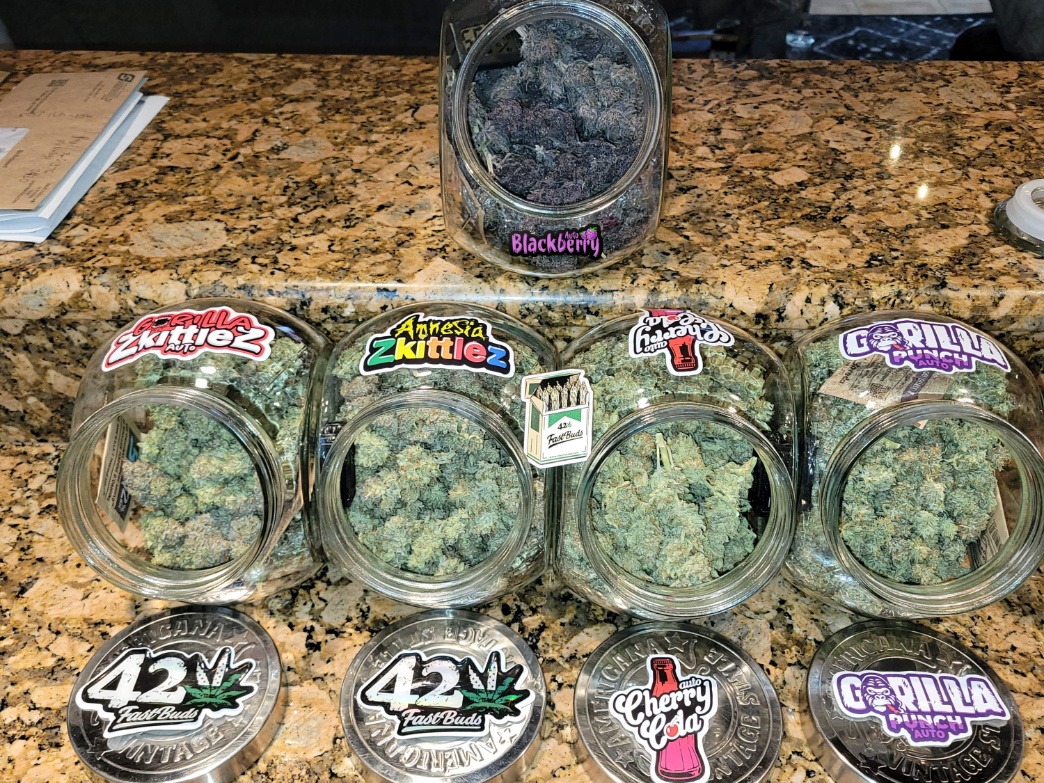 Mix Pack Auto Fem Esrar Tohumu (Fast Buds)