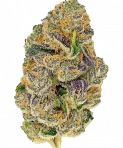 Mochi, tatlı meyve ve nane aromalarıyla öne çıkan dengeli bir hibrit türdür (Sunset Sherbert x Thin Mint GSC). Rahatlatıcı etkilerini keşfedin ve genetik yapısını görüntüleyin.