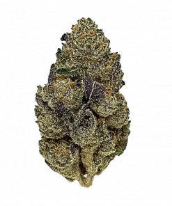 Mochi Runtz, çiçeksi aroması ve THC oranıyla öne çıkan dengeli bir hibrit türdür. Uykusuzluk ve stres için ideal. Etkilerini keşfedin.