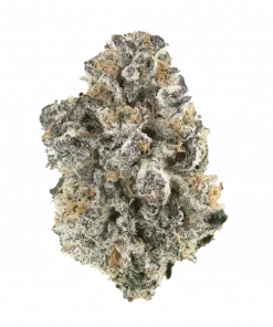 Momochi, bal aromaları ve yüksek THC içeriğiyle öne çıkan Indica dominant bir türdür. Derin rahatlama ve mutluluk sunar. Genetik yapısını keşfedin.