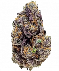 Monster Maker, çilek aroması ve yüksek THC içeriğiyle bilinen Indica baskın bir türdür. Yaratıcılığı ve iştahı artırıcı etkilerini keşfedin.