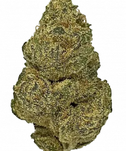 Moon Rock, benzersiz aroması ve yüksek THC içeriğiyle bilinen Indica baskın bir türdür. Rahatlatıcı etkilerini ve genetik yapısını keşfedin.