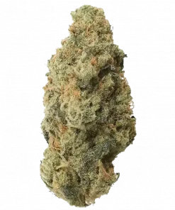 Moonbow 112 IX, tatlı meyve aromaları ve 'a varan THC içeriğiyle öne çıkan dengeli bir hibrit türdür. Zihinsel ve fiziksel etkilerini keşfedin.