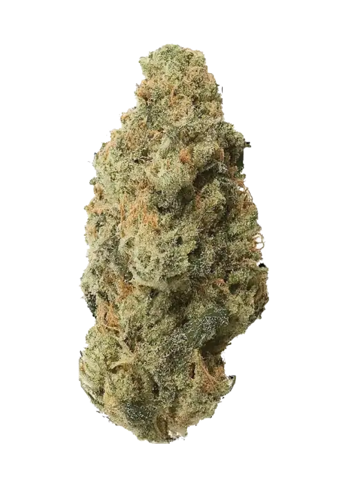 Moonbow 112 IX, tatlı meyve aromaları ve 'a varan THC içeriğiyle öne çıkan dengeli bir hibrit türdür. Zihinsel ve fiziksel etkilerini keşfedin.