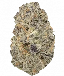 Mop Chopper, yakıtımsı ve narenciye aromalarıyla öne çıkan dengeli bir hibrit türdür. Enerji veren ve rahatlatan etkileriyle dikkat çeker. Özelliklerini keşfedin.