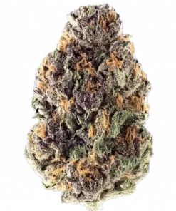 Mora Azul, yakıtımsı ve çiçeksi aromalarıyla öne çıkan Indica dominant bir türdür. 'e varan THC içeriğiyle rahatlatıcı etkilerini keşfedin ve genetik yapısını görüntüleyin.